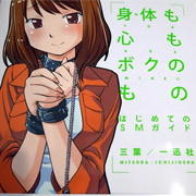 ソフトSM
